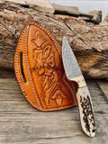 Belt Knife – 6.75" Damascus Steel Blade with Antler Horn Handle & Brass Bolster - ZB Knives Store