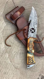 Best Gut Hook Knife - Feather Pattern Damascus Steel & Antler Horn Handle - ZB Knives Store