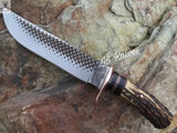 Bowie Hunting Knife - Stag Horn & Buffalo Horn Handle with Leather Sheath - ZB Knives Store
