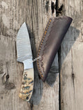 Damascus Steel Skinning Knife - Ram Horn Handle With Sheath - ZB Knives Store