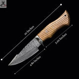 The Wilderness Elegance: 10 - Inch Hunting Knife with Damascus Steel Blades, Walnut Wood Handle, and Damascus Guard - ZB Knives Store